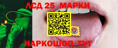 Альфа ПВП Краснодар