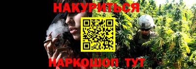 Альфа ПВП Краснодар