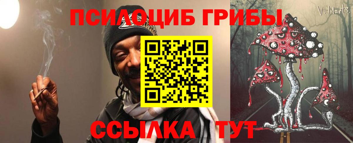 Каменск-Уральский  Галлюциногенные грибы мицелий  Вход с VPN 